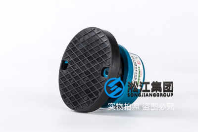 供應(yīng)l04循環(huán)泵zta型彈簧減震器 真實(shí)工程安裝案例