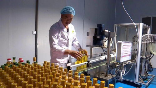 科技創(chuàng)新助力榕江山茶油產業(yè)實現自動化生產